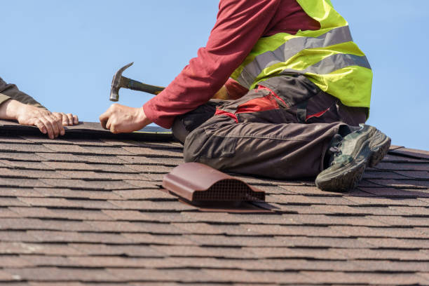 Roof Gutter Cleaning in Estherville, IA