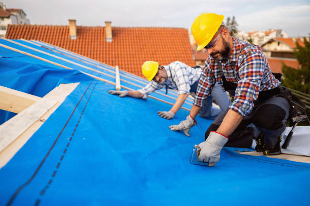 Best Metal Roofing Contractor  in Estherville, IA