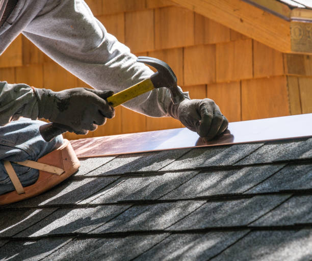 Best Roof Gutter Cleaning  in Estherville, IA